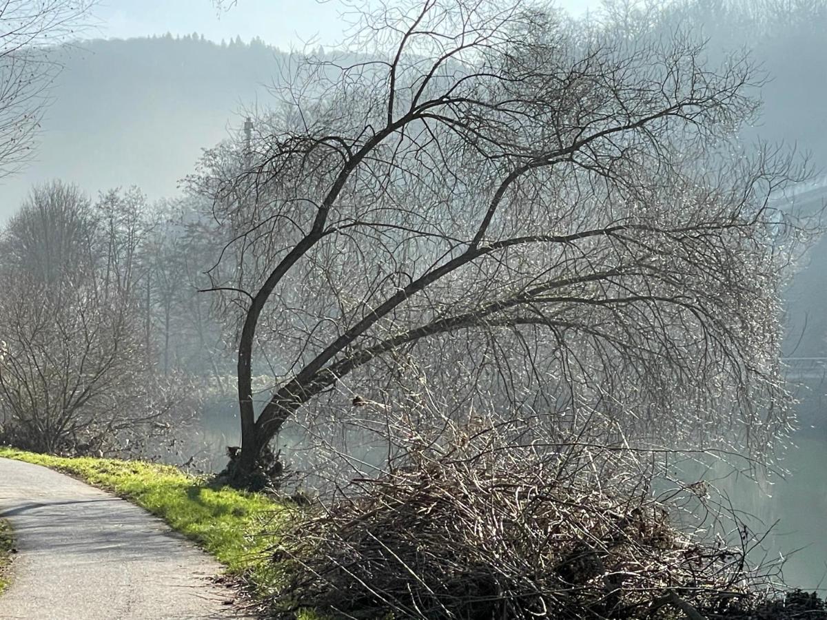 Ferienwohnung Bei Bad Ems Im Lahntal Fachbach Bagian luar foto