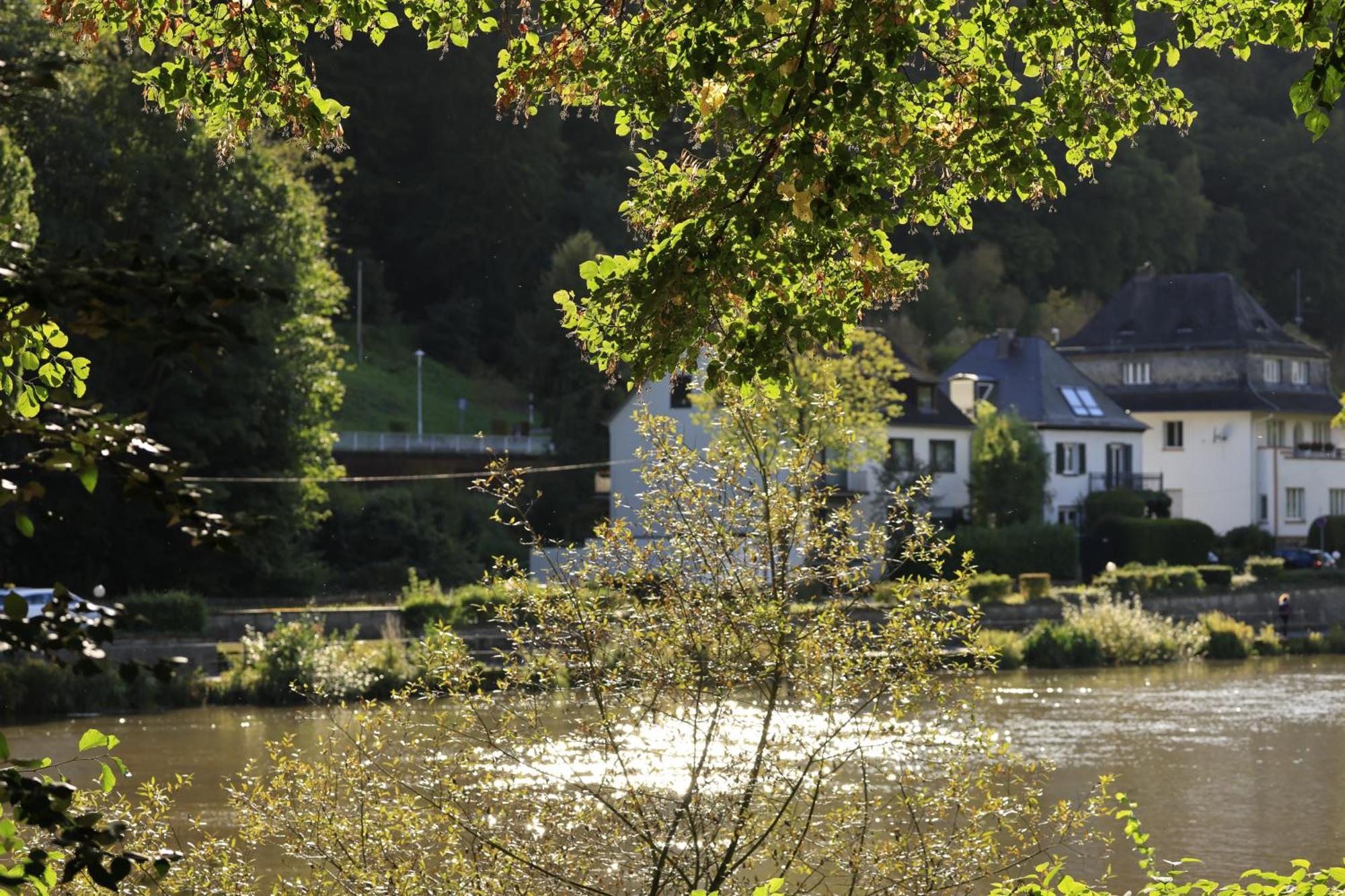 Ferienwohnung Bei Bad Ems Im Lahntal Fachbach Bagian luar foto